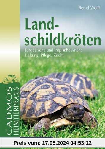 Landschildkröten: Europäische und tropische Arten: Haltung, Pflege, Zucht